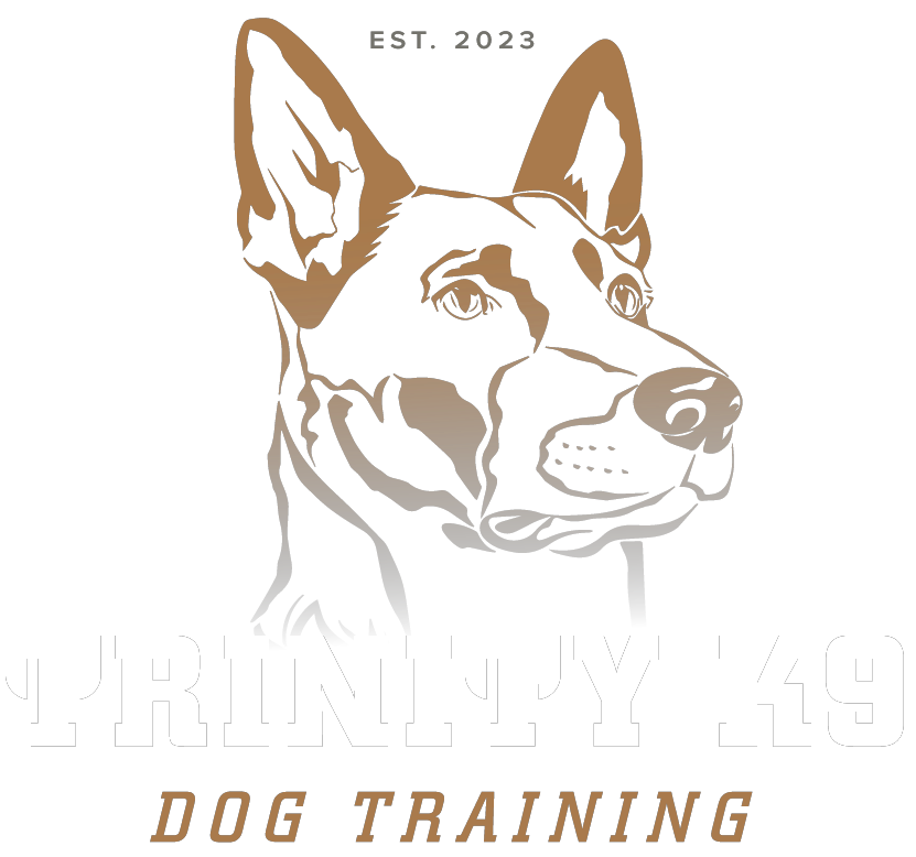 Partner Trinity K9